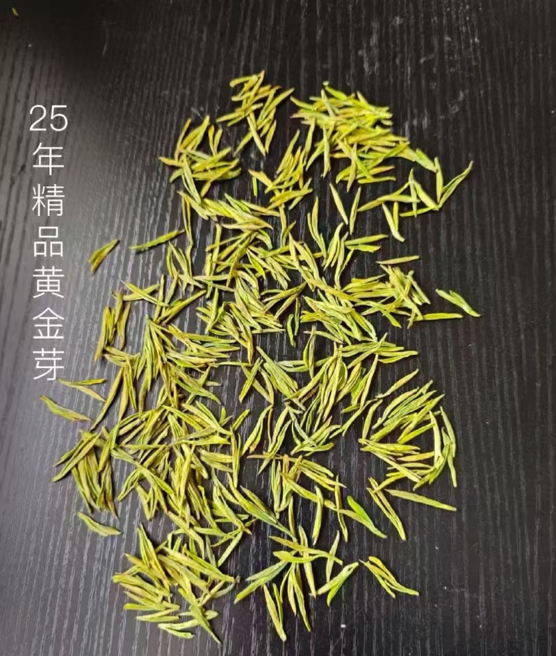 安吉白茶，黄金芽