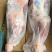 内蒙羊前腿7条
