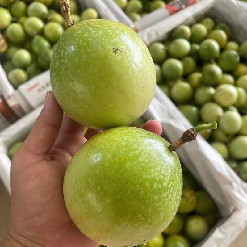 钦蜜9号百香果批发