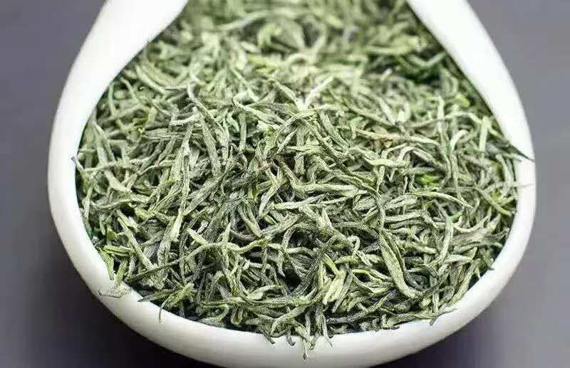 信阳毛尖茶/河南信阳浉河区产地直采/对接全国采购商