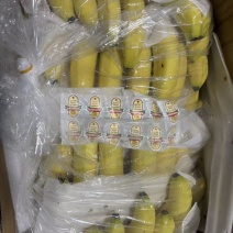 精品好货