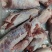 鞭根肉