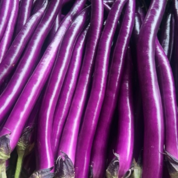 线茄子🍆
