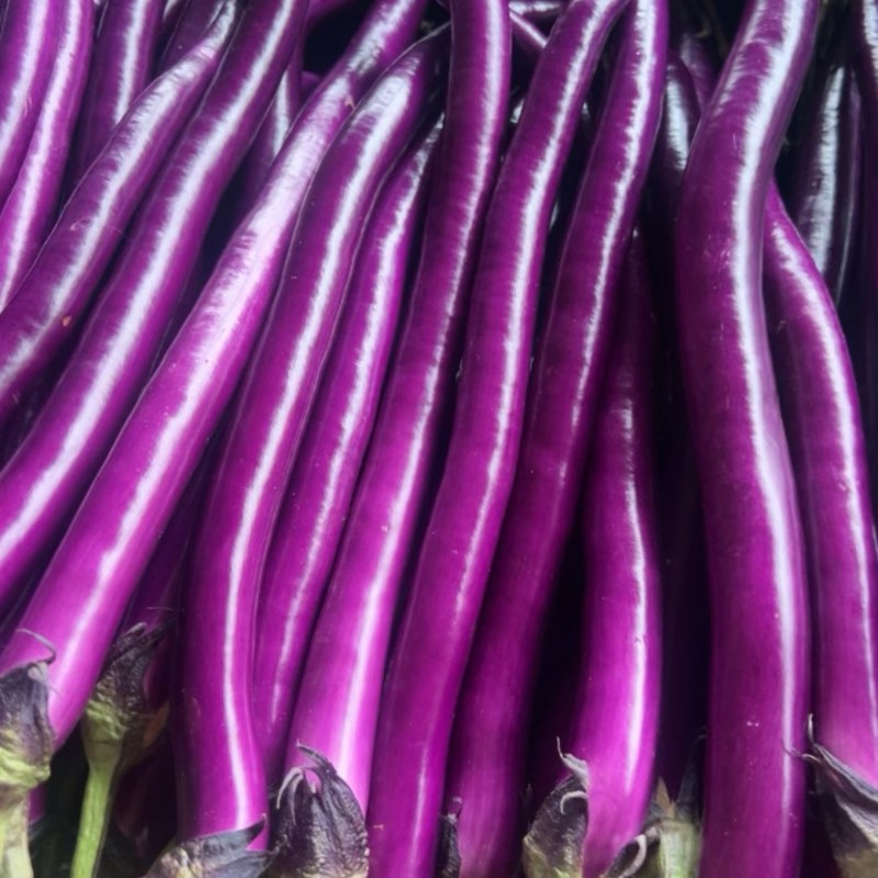 线茄子🍆