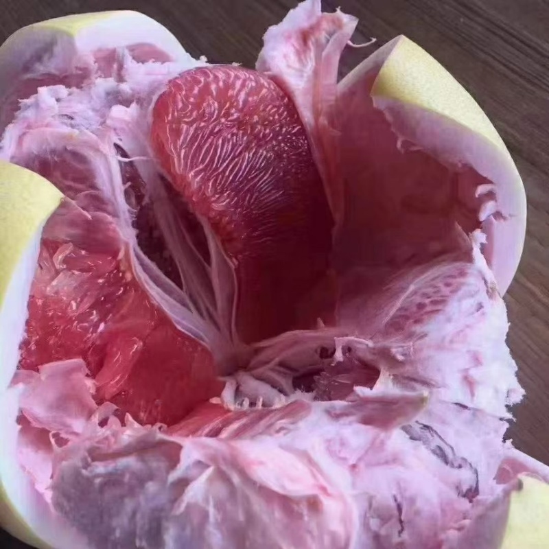 平和红心柚
