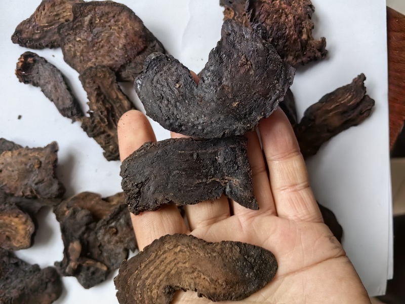 软大云选货软肉苁蓉选货批发支持代发1000克