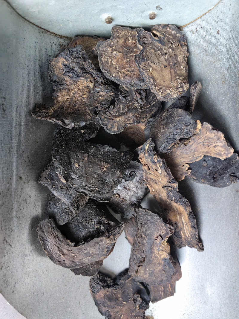 软大云选货软肉苁蓉选货批发支持代发1000克