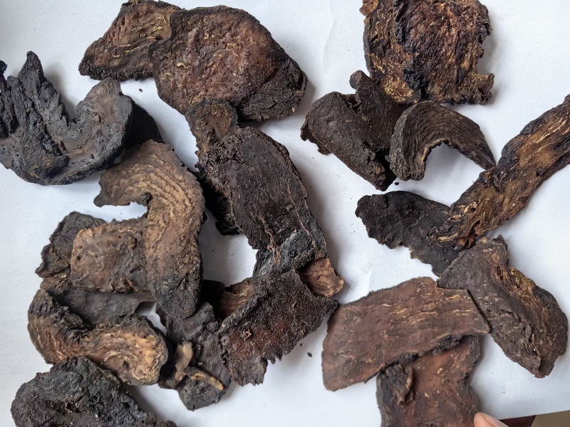 软大云选货软肉苁蓉选货批发支持代发1000克