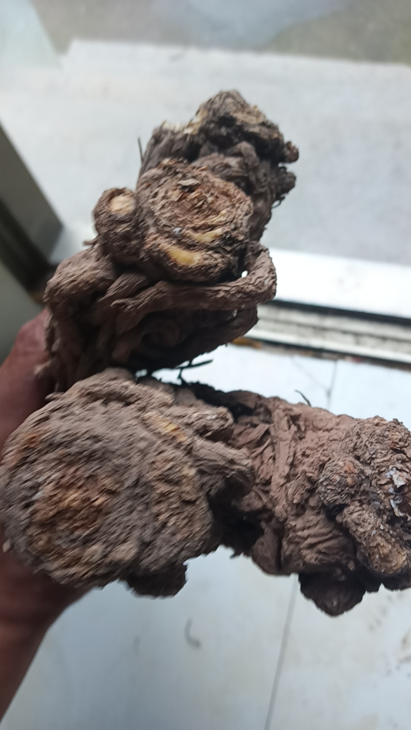 甘肃岷县原产地精选当归，无硫正品精品当归