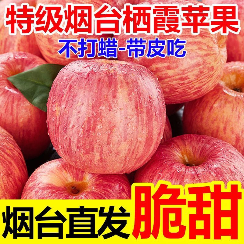 【一件代发】山东烟台红富士苹果甜脆多汁全平台发货
