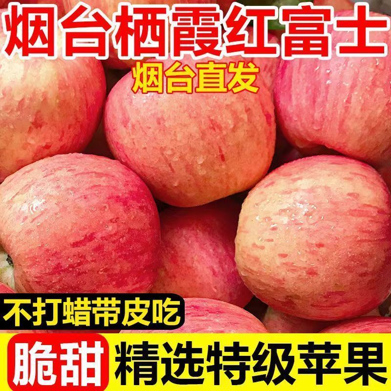 【一件代发】山东烟台红富士苹果甜脆多汁全平台发货