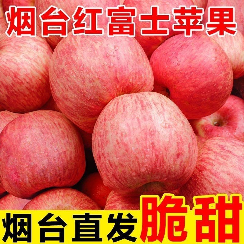 【一件代发】山东烟台红富士苹果甜脆多汁全平台发货
