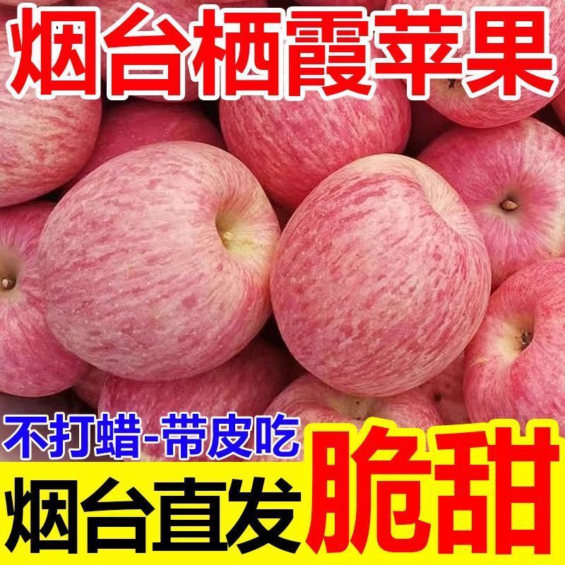【一件代发】山东烟台红富士苹果甜脆多汁全平台发货