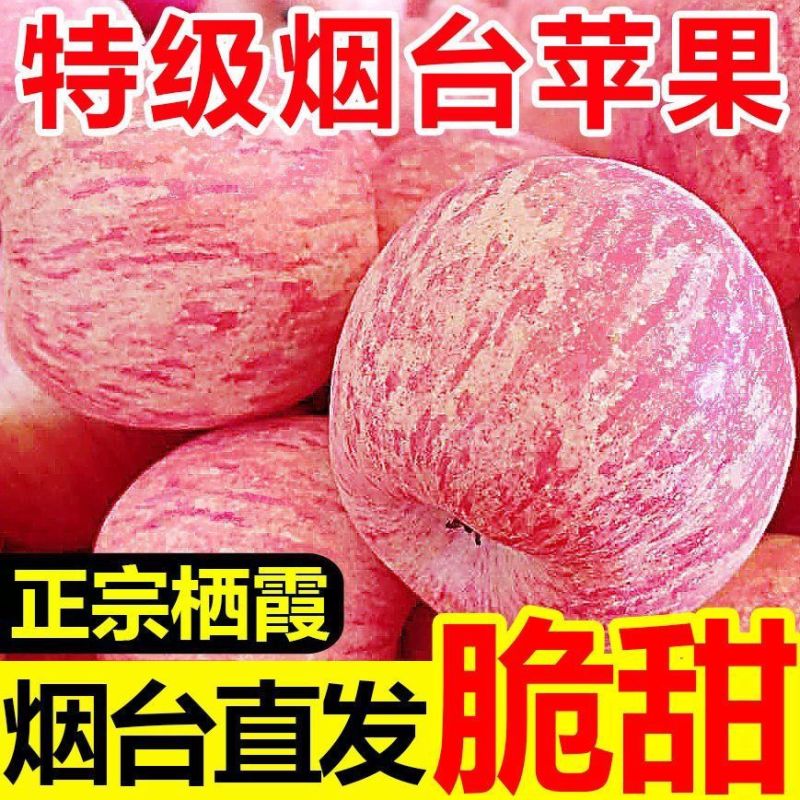 【一件代发】山东烟台红富士苹果甜脆多汁全平台发货