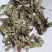淫羊藿甘肃统货批发洋火叶仙灵脾甘肃产统货