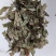 淫羊藿甘肃统货批发洋火叶仙灵脾甘肃产统货