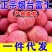 【一件代发】山东烟台红富士苹果商超专用全国发货