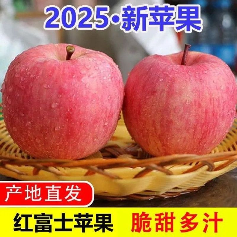 【一件代发】山东烟台红富士苹果商超专用全国发货