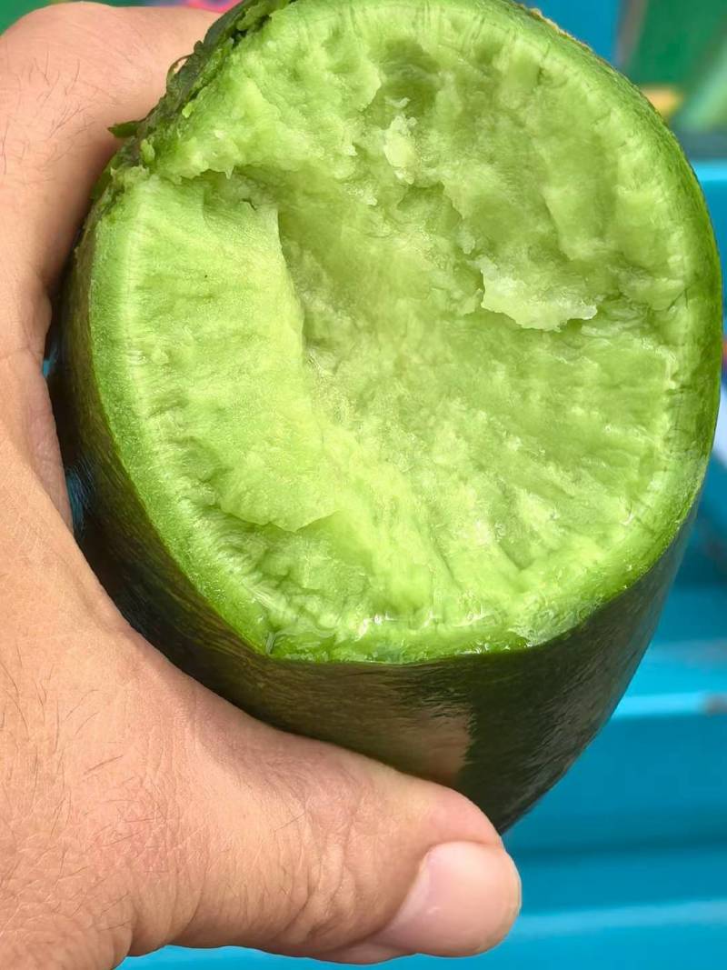 正宗精品希卡利水果萝卜大量上市供应，量大质优脆甜不辣
