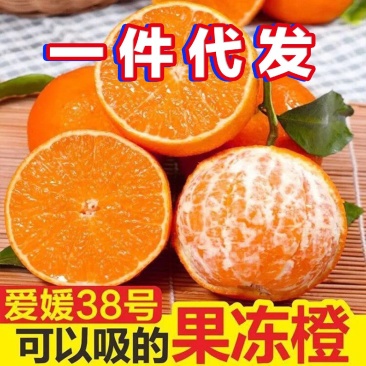 四川爱媛38号果冻橙电商一件代发对接各大电商平台