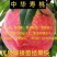 中华寿桃树苗，包成活，包品种，包结果，假一赔十，签约合同