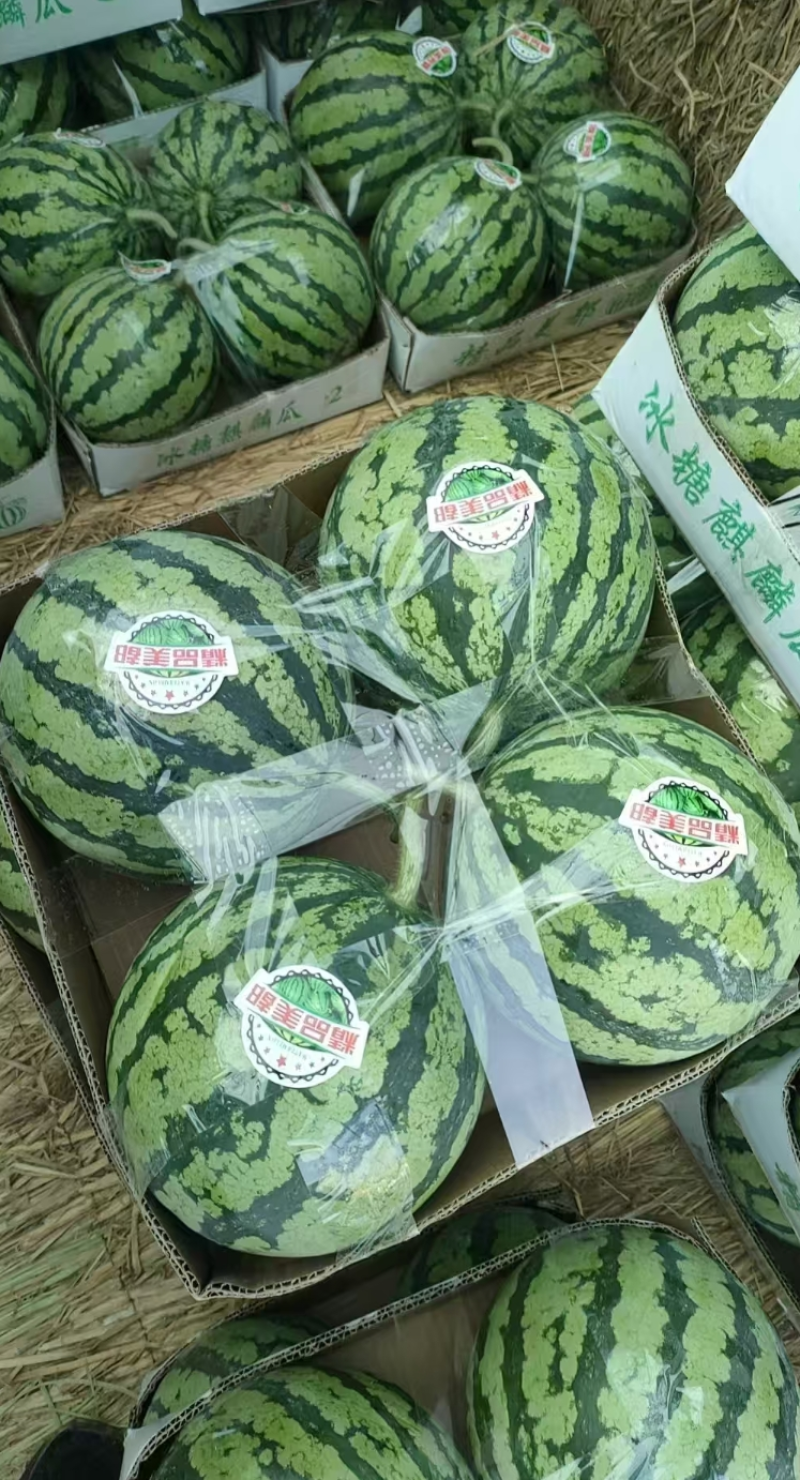 美都麒麟瓜云南西瓜产地一手货源，规格齐全，供应电商市场