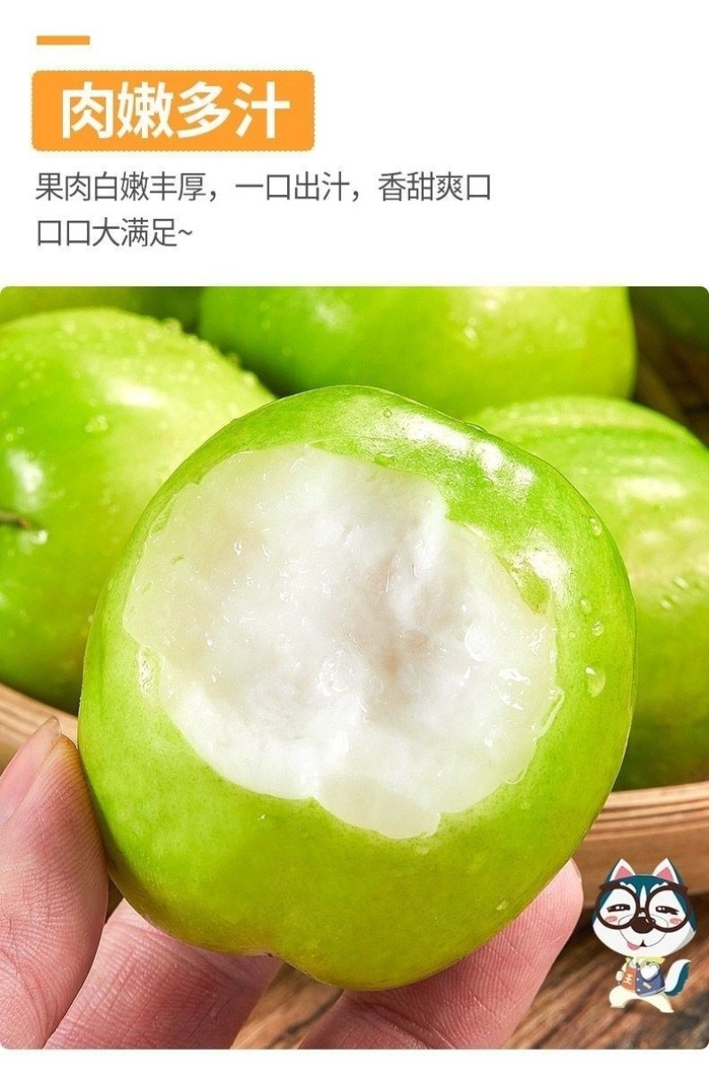 苹果枣正宗苹果枣云南西双版纳高山生态种植甜蜜苹果枣