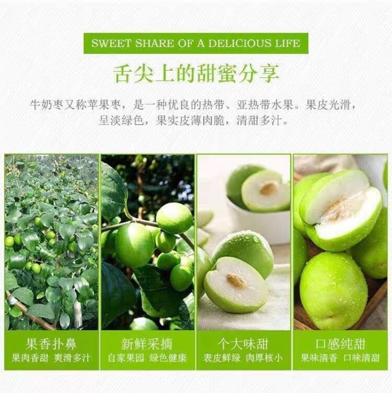 苹果枣正宗苹果枣云南西双版纳高山生态种植甜蜜苹果枣