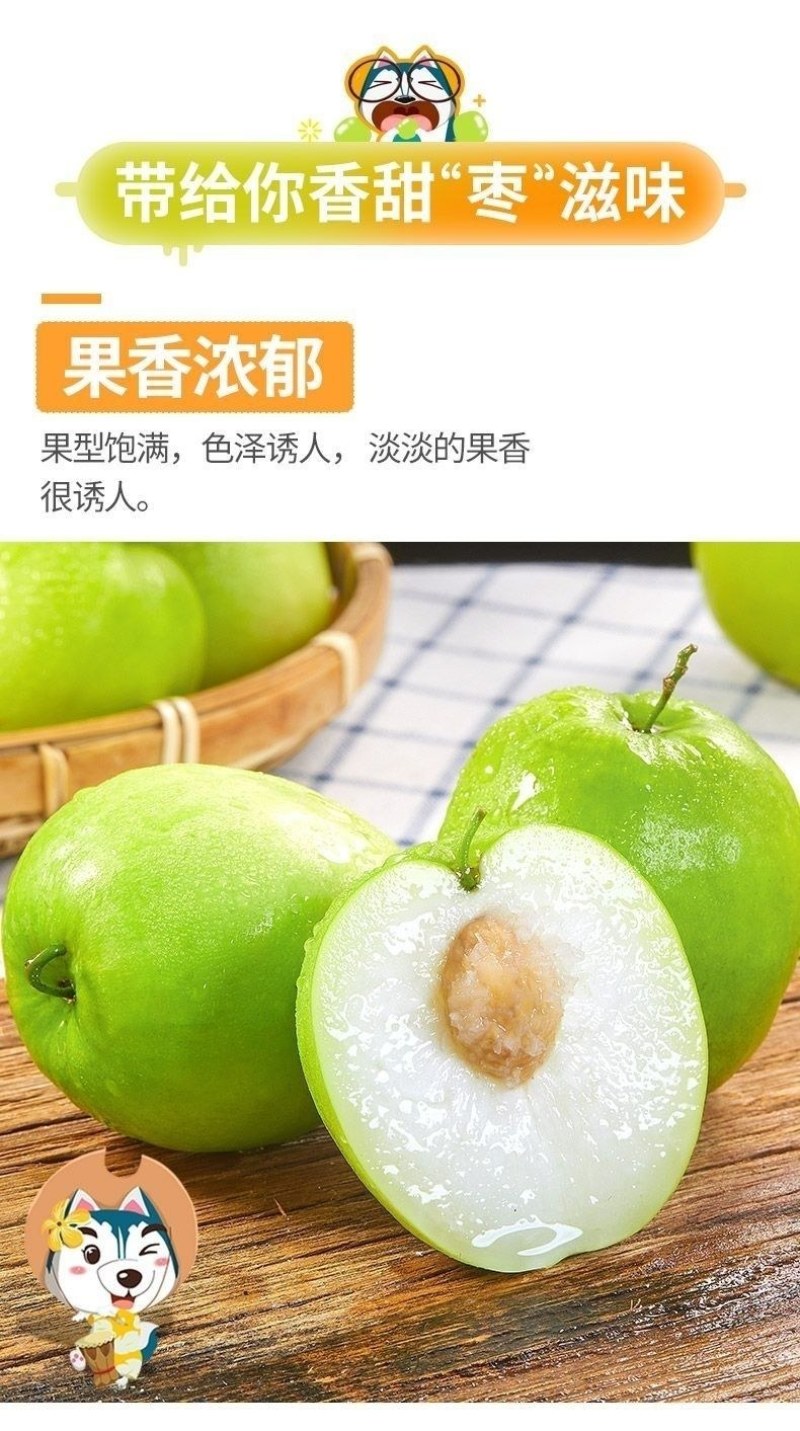 苹果枣正宗苹果枣云南西双版纳高山生态种植甜蜜苹果枣