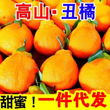 不知火电商一件代发对接全平台
