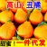 不知火电商一件代发对接全平台