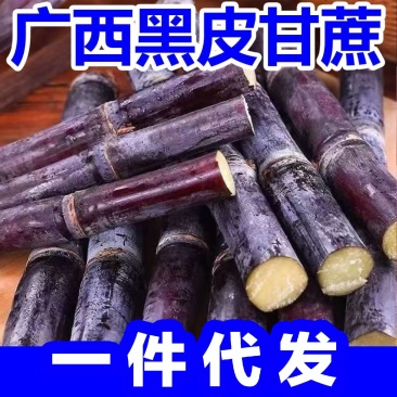 广西黑皮甘蔗现货供应电商一件代发全平台发货