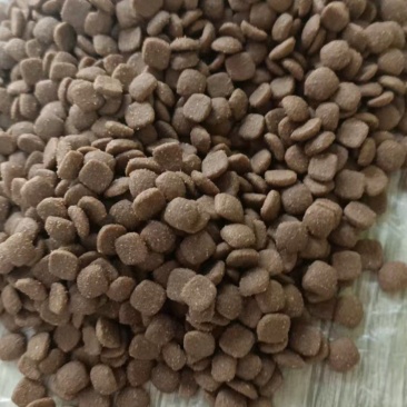狗粮，现货