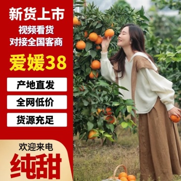 四川爱媛果冻橙皮薄如纸纯甜爆汁可视频看货代发全国