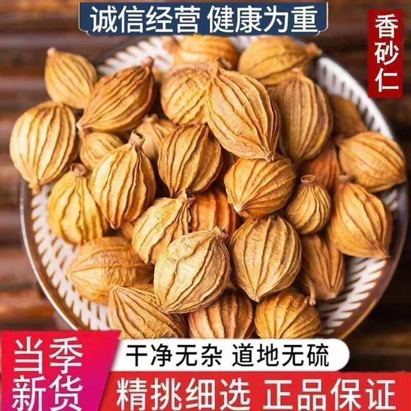香砂中药材香砂仁冷背干净无杂无硫精挑细选正品