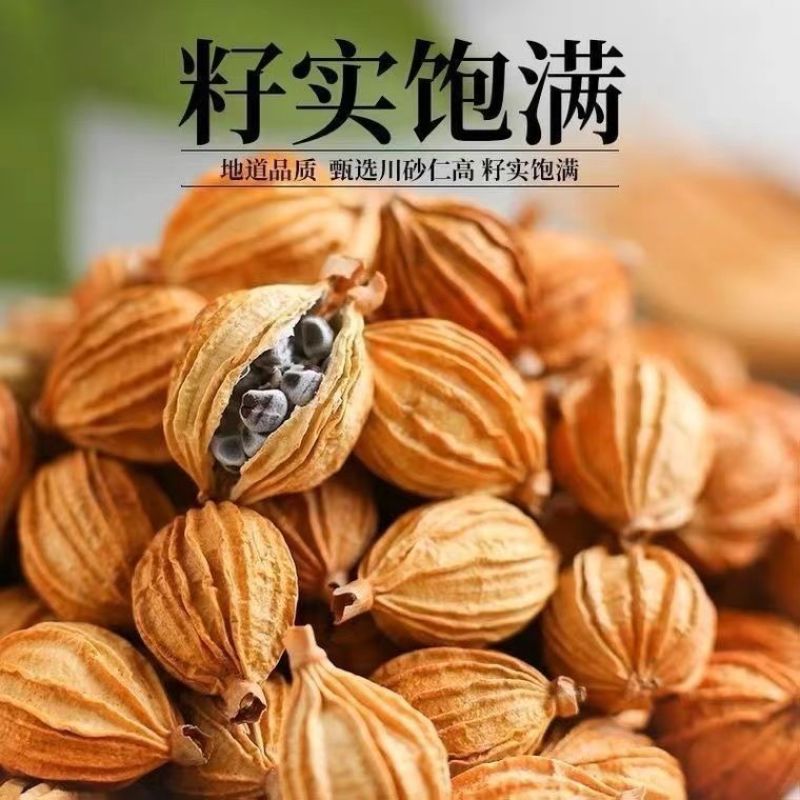 香砂中药材香砂仁冷背干净无杂无硫精挑细选正品