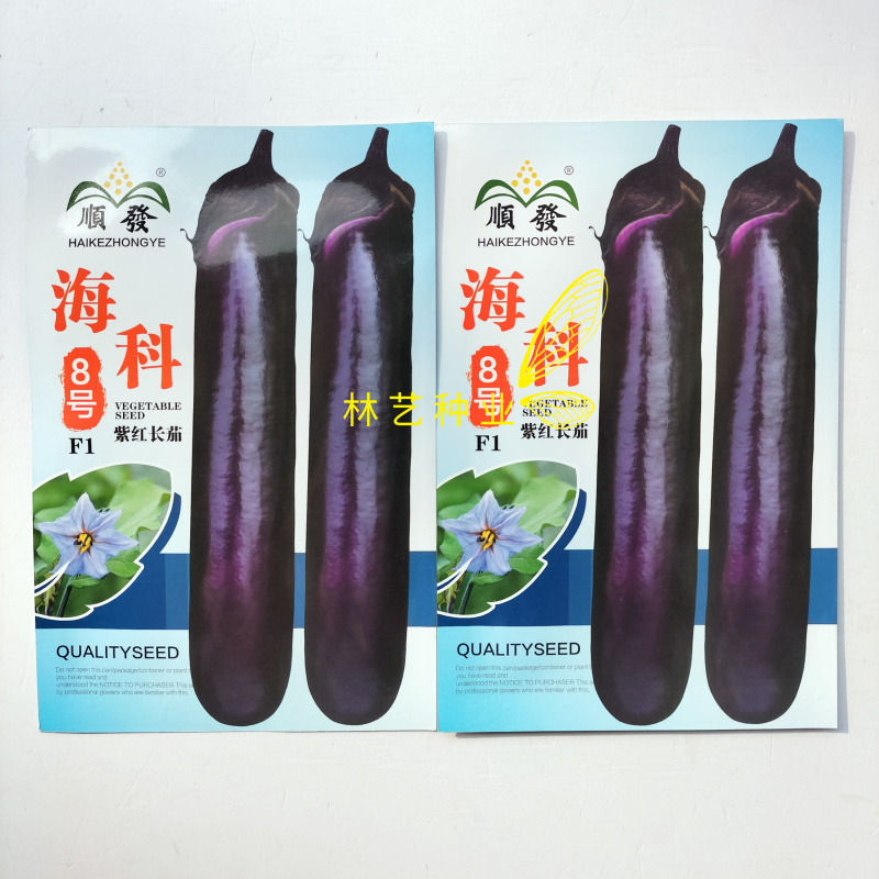 顺发海科8号中熟紫红长茄种子深紫色亮丽果肉白色肉质细