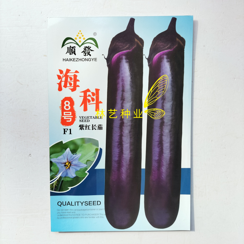 顺发海科8号中熟紫红长茄种子深紫色亮丽果肉白色肉质细