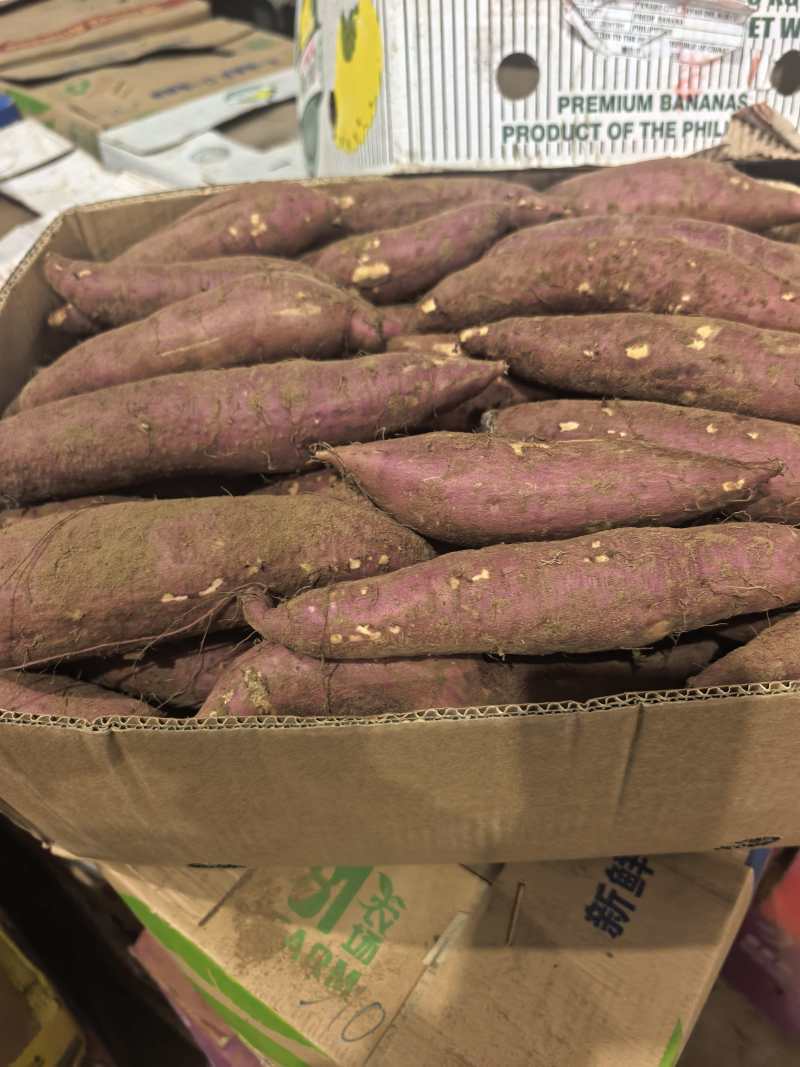 精品榴莲蜜薯内蒙产区