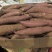 精品榴莲蜜薯内蒙产区
