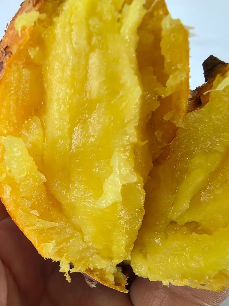 精品榴莲蜜薯内蒙产区