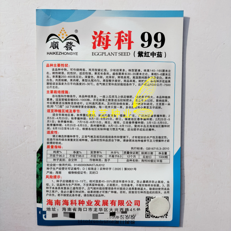 海科99中熟紫红中茄种子深紫色亮丽肉质细嫩果肉白色烧烤茄
