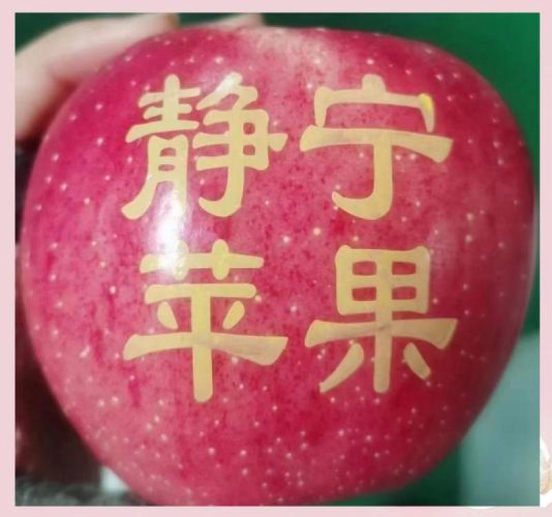 静宁红富士，秦冠，