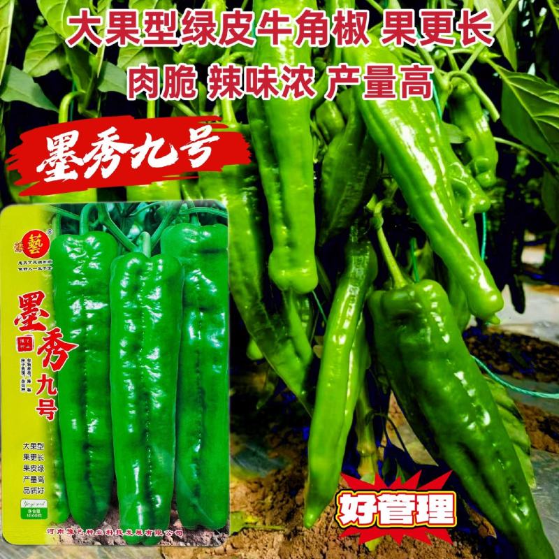 豫艺墨秀九号辣椒种子大果牛角椒种籽绿皮长果青椒种子辣味浓
