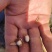 松塔，松包