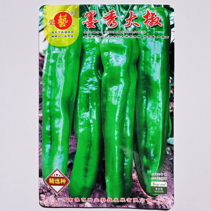 豫艺种业墨秀大椒种子大果牛角椒种籽好管理青椒种子春秋