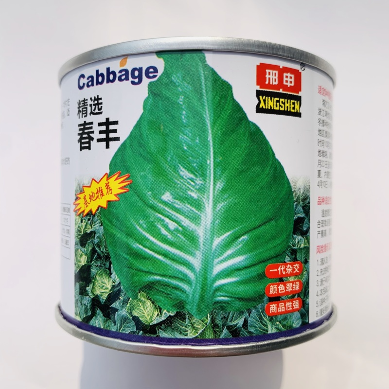 邢申春丰甘蓝种子早熟牛心甘蓝种籽卷心菜包菜种籽耐寒春秋