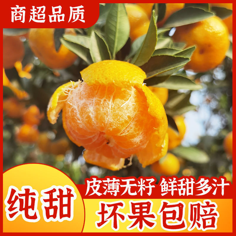 畅销南丰蜜桔基地直发保质保量对接商超团购电商一条龙