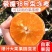 畅销推荐爱媛38号果冻橙基地直发保质保量对接一条龙
