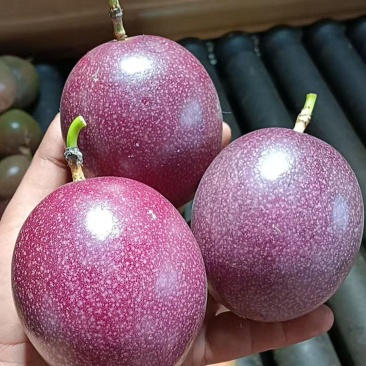 钦蜜88百香果批发
